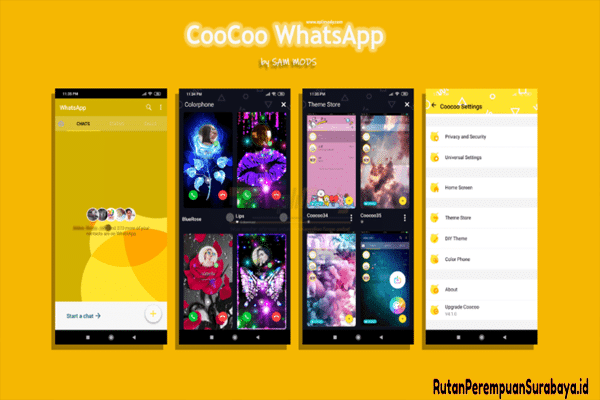 CooCoo WhatsApp
