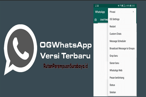 Ketahui Tips Aman Untuk Menggunakan OG WhatsApp Apk Disini!
