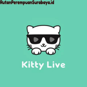 kitty live