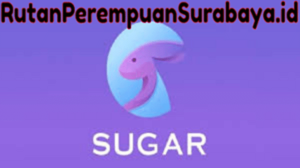 sugar live