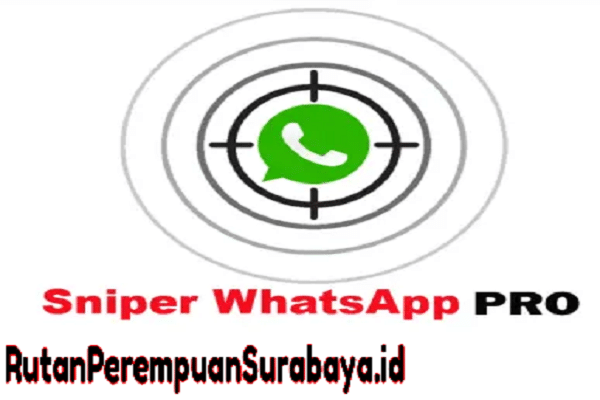 Sniper WhatsApp